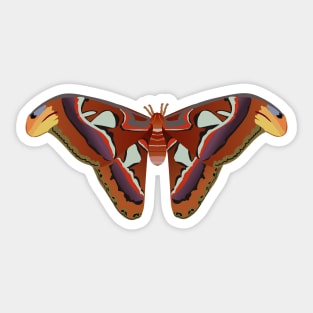 A vector illustration of an atlas moth Sticker